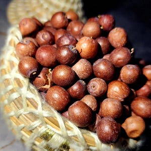 Puede incluir: Primer plano de una cesta tejida llena de numerosos objetos redondos marrones, posiblemente semillas o frutos pequeños. La cesta está hecha de material tejido de color claro con un ribete decorativo. El fondo es oscuro, resaltando el contenido de la cesta.