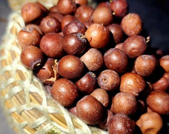 Azofaifo orgánico deshidratado (Nabq/Sidr): un refrigerio natural, dulce y saludable. Superalimento herbal.