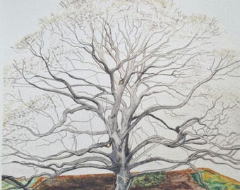 Watercolor Tree of Life Print, UVA Campus Art, Charlottesville VA