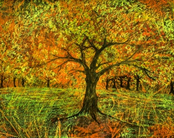 Tree Of Life, Autumn Colors, Tree Art, Pagan Forest Landscape