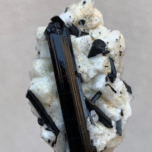 May include: A close-up of a mineral specimen featuring a large, glossy black tourmaline crystal. The tourmaline is set against a matrix of white quartz with small black inclusions. The specimen is held by a silver metal holder.