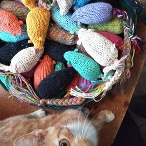 May include: A basket filled with colorful, hand-knitted cat toys shaped like mice. The toys are in various colors, including yellow, pink, blue, and white. A ginger cat with white markings is in the foreground, looking up at the camera.