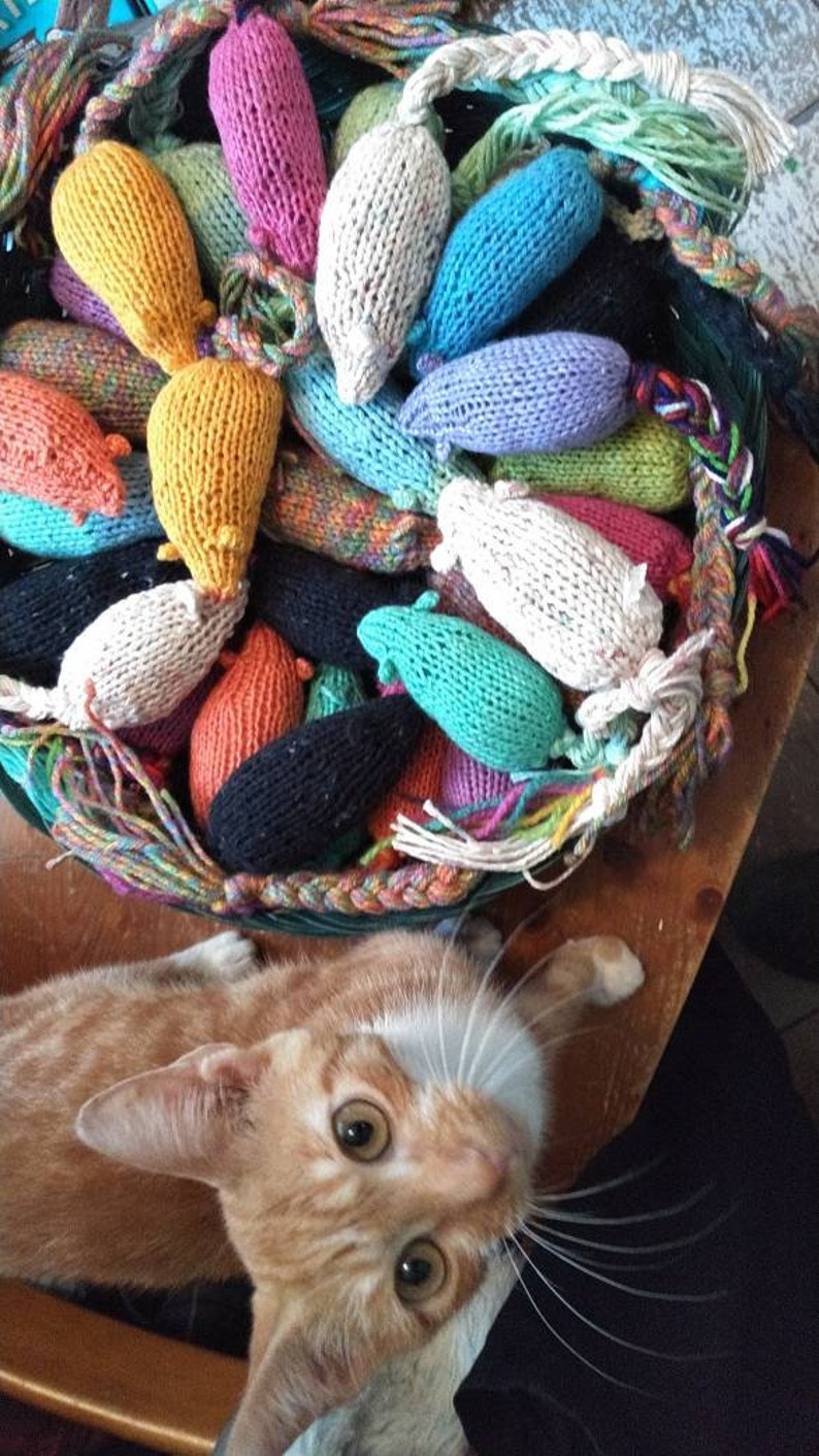 May include: A basket filled with colorful, hand-knitted cat toys shaped like mice. The toys are in various colors, including yellow, pink, blue, and white. A ginger cat with white markings is in the foreground, looking up at the camera.