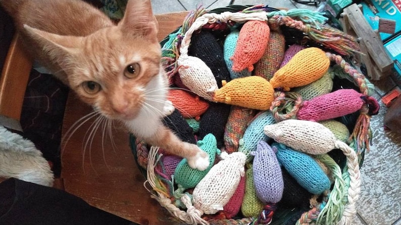 May include: An orange tabby cat reaches towards a basket filled with colorful, knitted toy mice. The mice are in various colors, including orange, pink, blue, and white. The basket has a braided rope rim.