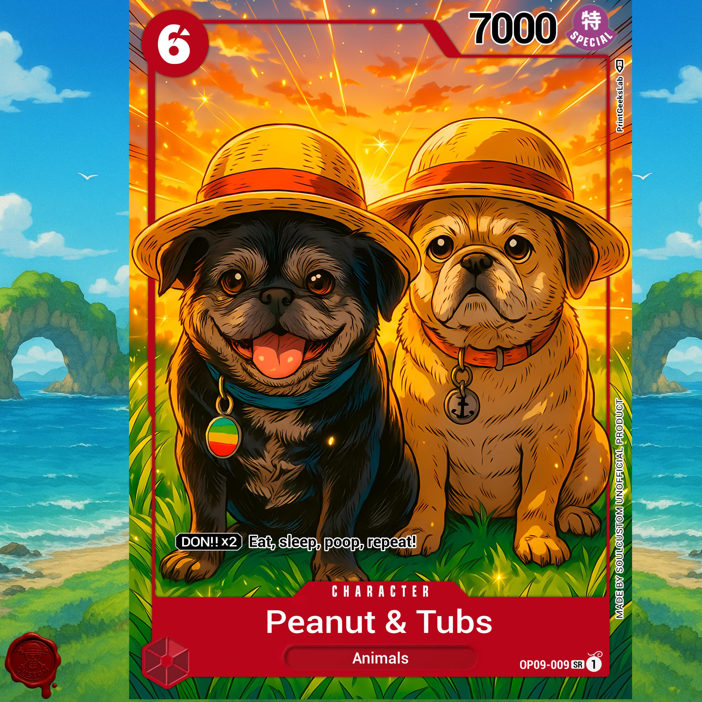 Personalized One Piece Pet TCG Card, Custom Real Anime Family Card 