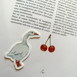 Adesivo oca bianca