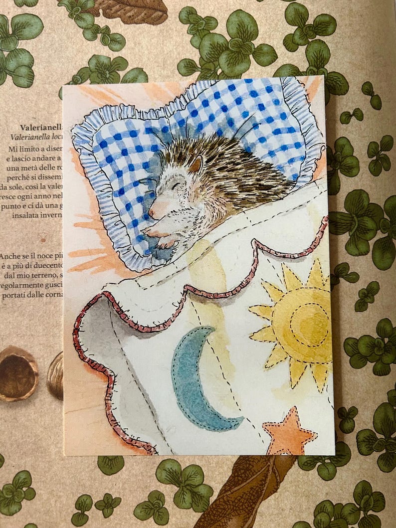 May include: A watercolour illustration of a hedgehog sleeping on a blue and white checkered pillow. The hedgehog is tucked under a white blanket decorated with a yellow sun, a blue crescent moon, and an orange star, featuring a red stitched edge.