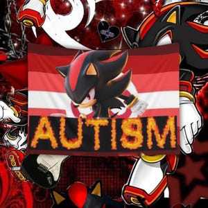 Può includere: Un arazzo rosso, bianco e nero con il personaggio Shadow the Hedgehog. La parola "AUTISMO" è visualizzata in lettere infuocate. Lo sfondo include varie grafiche a tema Sonic the Hedgehog.