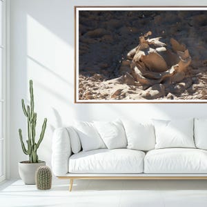 Könnte beinhalten: Gerahmtes Foto eines ausbrechenden Schlammvulkans, das eine dynamische Darstellung von beigem und braunem Schlamm zeigt. Das Kunstwerk wird über einem weißen Sofa mit weißen Kissen präsentiert, mit einem Kaktus im Topf links.