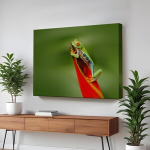 Colorful Frog Decorative Canvas Painting, Animal Modern Wall Art, Housewarming Gifts, Large Wall Art, Animal Canvas Wall Art