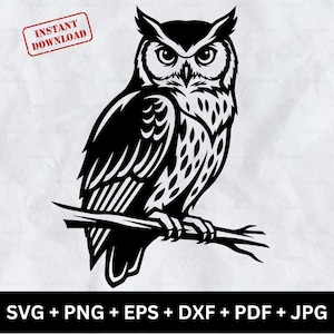 Sowa SVG Clipart Siedzący Ptak Sylwetka Wytnij Plik Cyfrowy Pobierz Sztuka Ścienna Dzikiej Przyrody Cricut Naklejka Winylowa PNG Dxf EPS pdf Projekt Do Wydruku