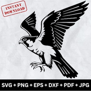 Falcon Clipart SVG Cut File Digital Download Hawk Bird of Prey Silhouette Wildlife Decor Tattoo Design PNG Printable Vector Art Falcon EPS