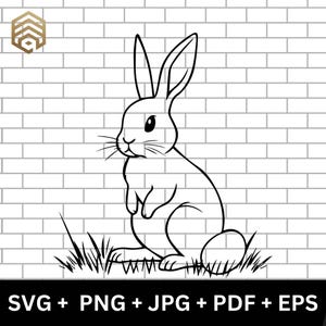 Easter Bunny SVG Rabbit Outline Bunny PNG Cute Easter Rabbit Clipart Coloring Page Cricut Cut File Sublimation Digital Design Easter SVG