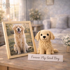 Puede incluir: Una fotografía enmarcada de un perro golden retriever junto a una figura de perro de ganchillo. La figura es de color marrón claro con nariz y ojos negros. Un letrero dice "Forever My Good Boy."