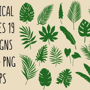 Tropical Leaves SVG | Tropical Leaf Clipart Bundle | Jungle Leaves SVG PNG EPs | Cricut & Silhouette Cut Files | Instant Download