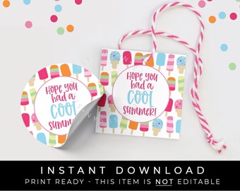Instant Download Popsicle Tag, Hope You Had a Cool Summer Printable Tag, Cookie Packaging Back to School Tag Download, #141CID VIP