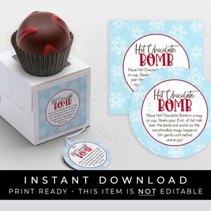 Instant Download Holiday Hot Chocolate Bomb Tag, Printable Snowflake Winter Christmas Chocolate Bomb Directions Instructions, #189BID VIP