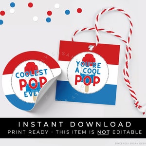 Instant Download Cool Pop Father's Day Patriotic Popsicle Gift Tag, Coolest Pop Popsicle Cookie Tag Printable for Grandfather, #136AID VIP