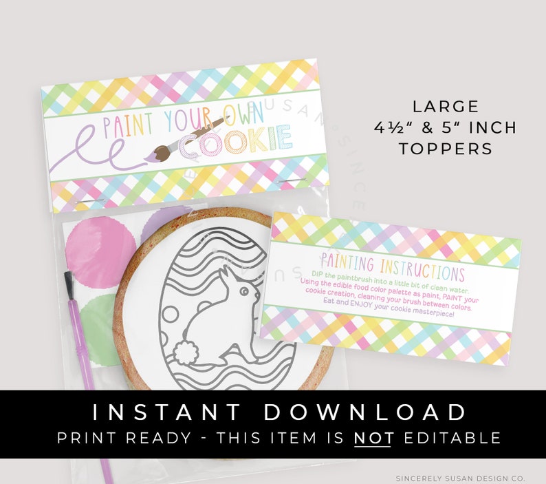 Instant Download Paint Your Own Cookie Bag Topper Printable, Large Single Cookie Spring Easter Gingham PYO Cookie Bag Topper Tag 256BID VIP image 1