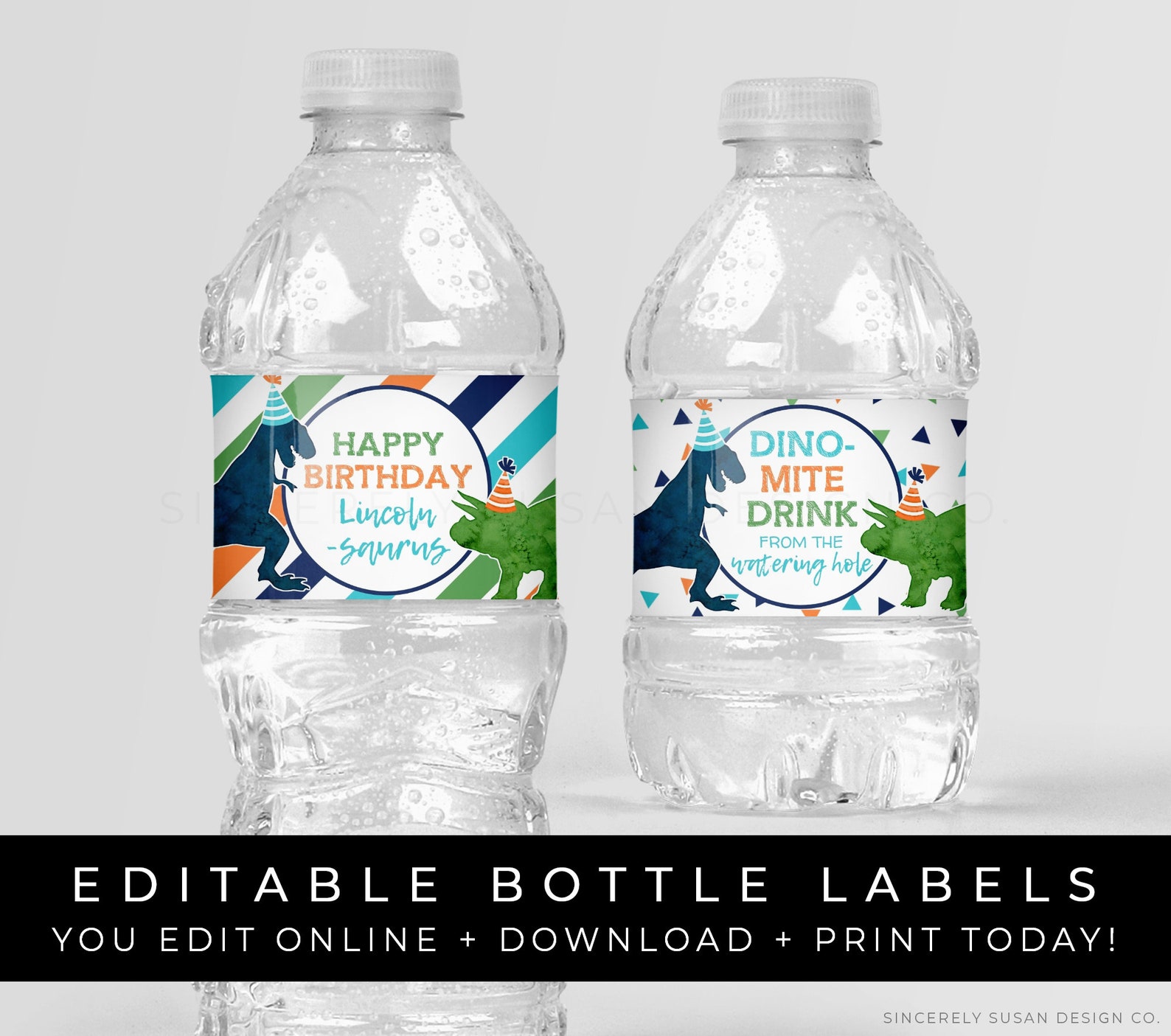 Printable Dinosaur Water Bottle Labels Personalized Dino | Etsy
