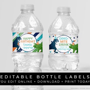 Printable Dinosaur Water Bottle Labels Personalized Dino Birthday Boy Party Decorations Editable Instant Template Download Corjl #047