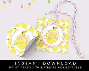 Instant Download You're The Zest Lemon Cookie Tag, Pink Gingham Check You Are The Best, Pink Lemonade Printable Gift Tag, #275ZPID VIP