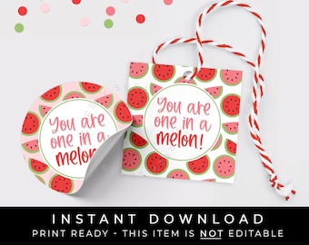 Etiqueta imprimível de melancia para download instantâneo, você é um em um melão, etiqueta de biscoito de melancia de verão ou etiqueta de lembrança para festa de piquenique, # 276DID VIP