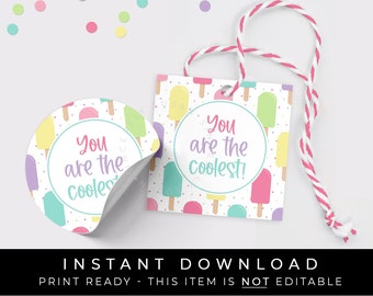 Instant Download Popsicle Tag Printable, You Are The Coolest Summer Popsicle Cookie Tag Party Favor Tag, Rainbow Ice Cream Pop, #277PCID VIP