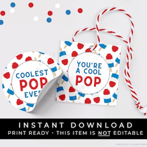 Descarga instantánea de la etiqueta de regalo de paleta pop más genial, etiqueta de galleta de paleta patriótica del día del padre imprimible para el abuelo, #136BID VIP
