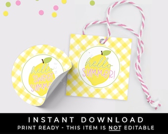 Instant Download Lemon Cookie Tag, Hello There Sweet Summer Lemon Cookies Printable Gift Tag Yellow Gingham, #275YID VIP
