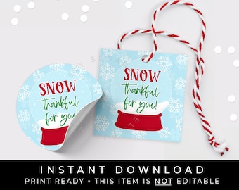 Instant Download SNOW Thankful For You Snowglobe Printable Gift Tag, Snowglobe Snowflakes Thank You Holiday Christmas Cookie Tag #189EID VIP