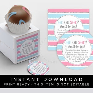 Étiquette bombe chocolat chaud révélation sexe bébé téléchargement immédiat, instructions imprimables il ou elle bombe cacao rose ou bleu, #214BID VIP