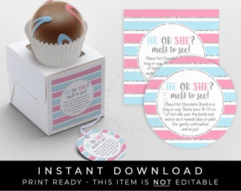 Instant Download Baby Gender Reveal Hot Chocolate Bomb Tag, Printable He or She Pink or Blue Cocoa Bomb Directions Instructions, #214BID VIP