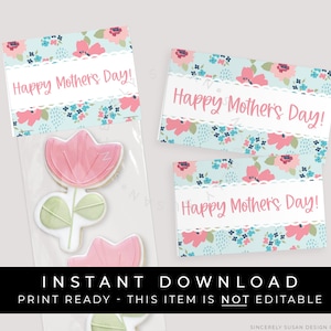 Instant Download Happy Mother's Day Floral Mini Cookie Bag Topper Printable, Pink Pastel Flowers Cookie Topper Tag Gift for Mom, #265AID VIP