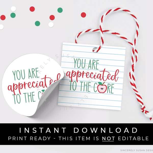 Instant Download Teacher Appreciation Gift Tag Printable, Je wordt gewaardeerd tot in de kern, Apple Teacher Cookie Tag Sticker, #260EID VIP