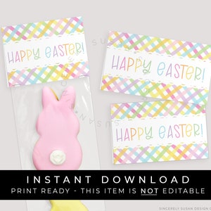 Instant Download Happy Easter Mini Cookie Bag Topper Printable, Easter Treat Card Pastel Gingham Plaid Spring Cookie Topper Tag, 256AID VIP image 1