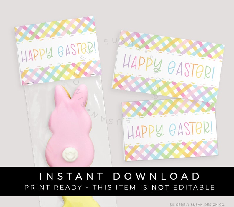 Instant Download Happy Easter Mini Cookie Bag Topper Printable, Easter Treat Card Pastel Gingham Plaid Spring Cookie Topper Tag, 256AID VIP image 1