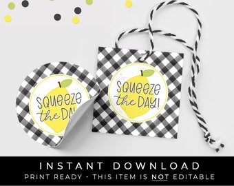 Instant Download Lemon Squeeze The Day Tag, Lemon Cookie Tag, Summer Lemonade Printable Gift Tag, Buffalo Plaid Gingham Check, #275BK2ID VIP