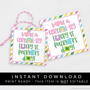 Instant Download Have a Cereal-sly Lucky St. Patrick's Day Cookie Tag, Marshmallow Charms Cereal Cookie Printable Gift Tag, #101HID VIP