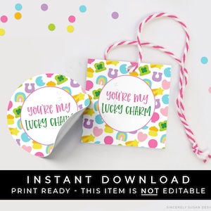 Instant Download You're My Lucky Charm Cookie Tag, Marshmallow Cereal Cookie Lucky St. Patrick's Day Printable Gift Tag, 101AID VIP image 1