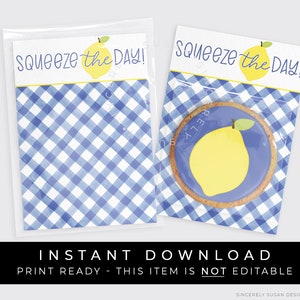 Instant Download Squeeze The Day Lemon Cookie Card Printable, Blue Gingham Lemon Mini Cookie Backer Printable Summer Lemonade, #275BU2ID VIP
