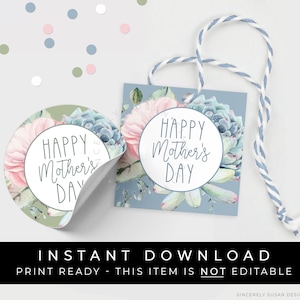 Instant Download Happy Mother's Day Gift Tag Printable, Floral Succulent Mother's Day Cookie Tag Gift Idea for Mom, #110BGID VIP