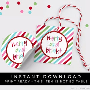 Instant Download Merry and Bright Cookie Tag, Merry Christmas Holiday Colorful Gift Tag for Treat Bag Holiday Party Favor Tag, #198AID VIP