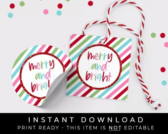 Download istantaneo Tag per biscotti allegri e luminosi, Tag regalo colorato per le vacanze di Buon Natale per il tag del favore della festa della borsa del dolcetto, #198AID VIP
