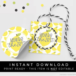 Instant Download You&#39;re The Zest Lemon Cookie Tag, Gingham Black Buffalo Check Farmhouse Lemonade Printable Gift Tag, #275ZBKID VIP