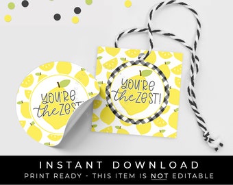 Instant Download You're The Zest Lemon Cookie Tag, Gingham Black Buffalo Check Farmhouse Lemonade Printable Gift Tag, #275ZBKID VIP