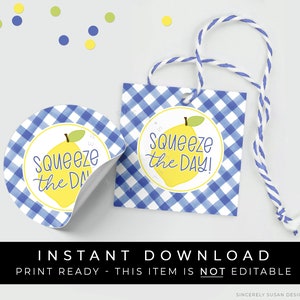 Instant Download Squeeze The Day Lemon Tag, Blue Gingham Lemon Cookie Tag, Summer Lemonade Digital Printable Gift Tag, #275BU2ID VIP