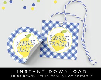 Instant Download Squeeze The Day Lemon Tag, Blue Gingham Lemon Cookie Tag, Summer Lemonade Digital Printable Gift Tag, #275BU2ID VIP