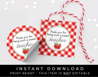 Instant Download Sweet Teacher Thank You Apple Tag, Apple for the Teacher Printable Cookie Tag, Red Gingham Check BTS, #R144DID VIP