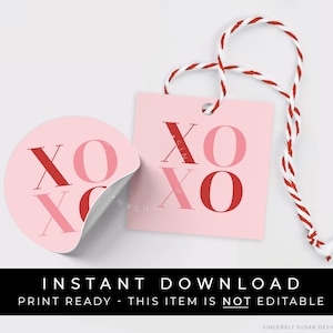 Instant Download XOXO Modern Valentine's Day Cookie Tag, Hugs and Kisses Cookie Tag, Pink Valentine Gift Tag, #228AID VIP